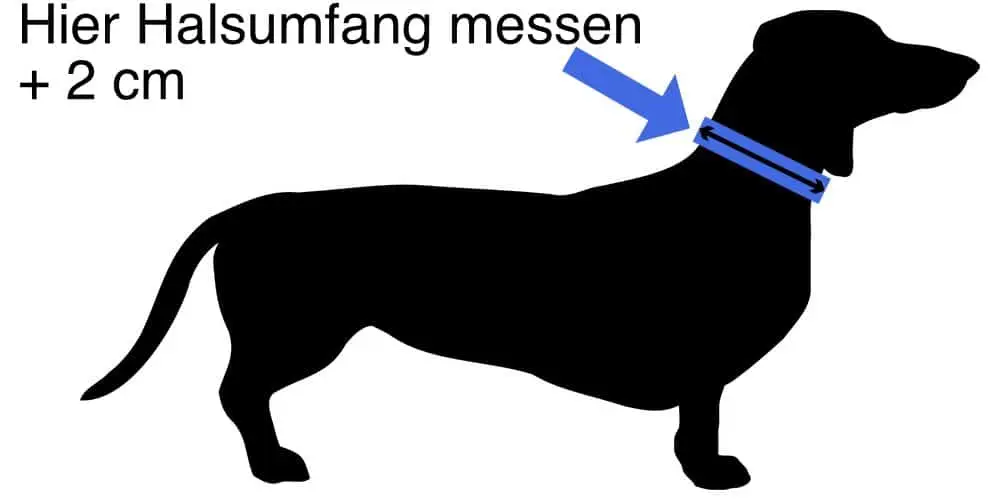 Halsband Messanleitung