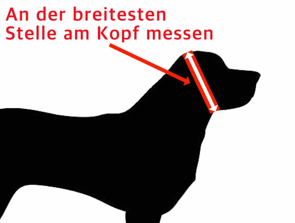 Kopfbreite Halsband Messanleitung