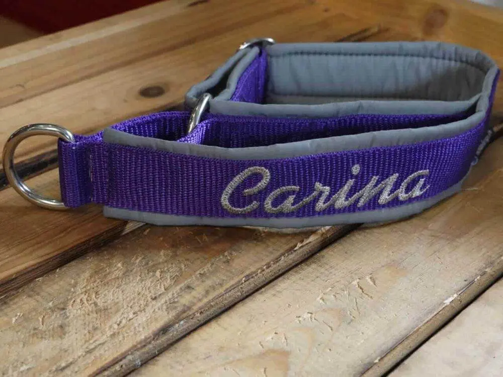 Stark reflektierendes Softshell Hundehalsband mit Handschlaufe